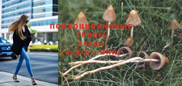 метадон Абдулино