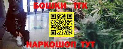 СК Новодвинск