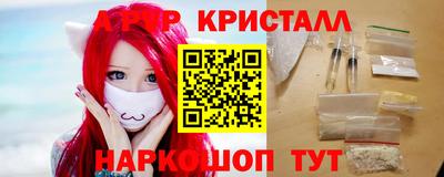 СК Новодвинск