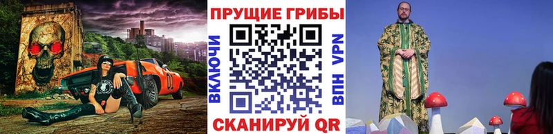 Галлюциногенные грибы прущие грибы  Черкесск 