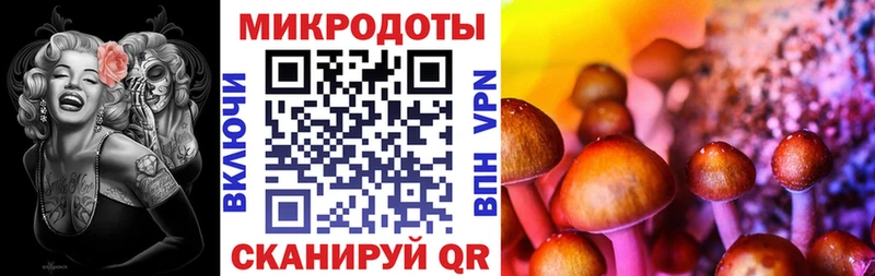 Псилоцибиновые грибы Psilocybe Черкесск