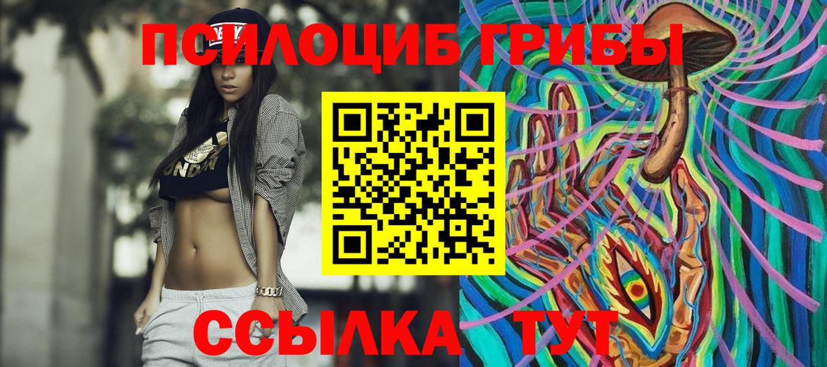 Галлюциногенные грибы Psilocybine cubensis Черкесск