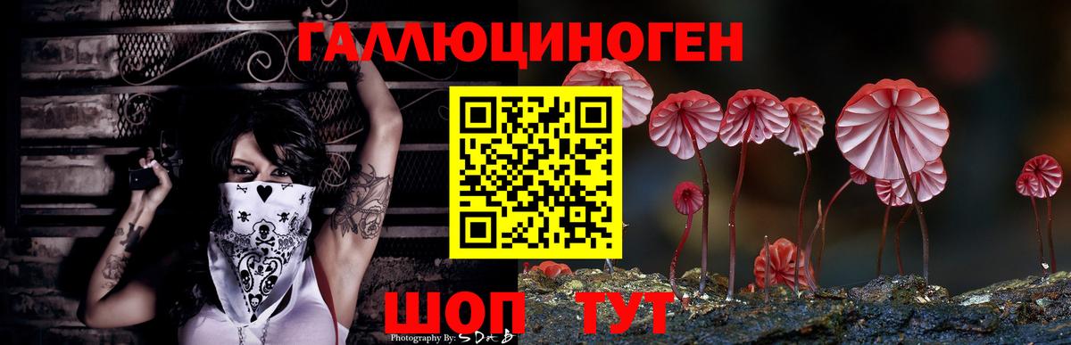 наркота  Вход с VPN  Черкесск  Галлюциногенные грибы Cubensis 